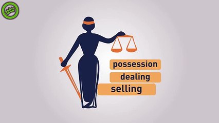 Feestje in Nederland