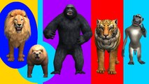 Crazy Gorilla Finger Family Nursery Rhymes for Children in 3D Rhymes