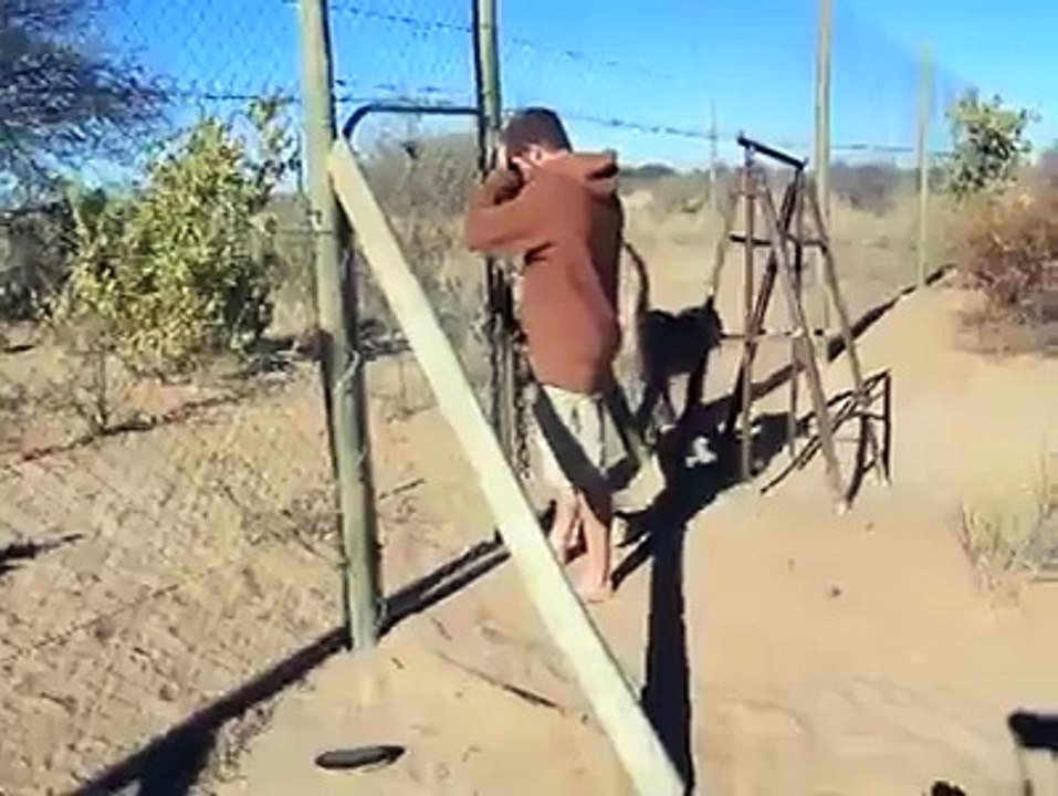 lion is best friend