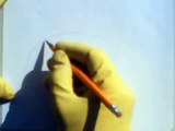 How To Draw A Lemon step by step with pencil marker easy sketch for beginners simple