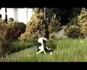 How is this man disturbing people