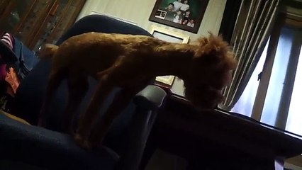 #소액머니 010-5906-0190 〔정보이용료현금화〕［핸드폰소액결제 현금화］｛모바일문화상품권｝