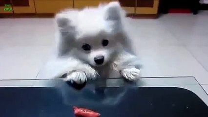 SK,.LG,KT〖010⇔3552⇔5814〗핸드폰소액결제 현금화,정보이용료 현금화,추가결제