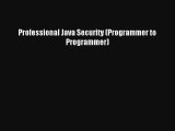 Professional Java Security (Programmer to Programmer) Download Free