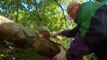 Saône-et-Loire : une œuvre de land art est en train d'éclore dans les bois de Solutré