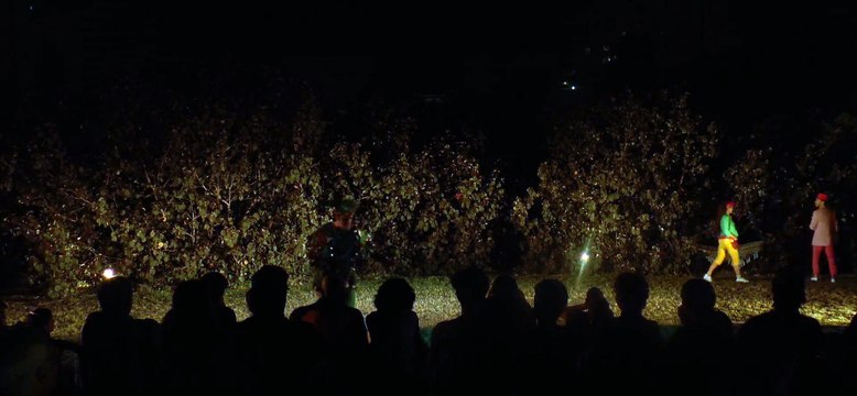 שייקספיר על הדשא חלק ב'