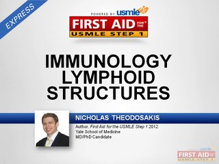 Understanding Lymphoid Structures in Immunology 🧬