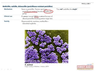 Microbiology Antimicrobials Part 1