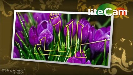 jamia darul huda bannu 2