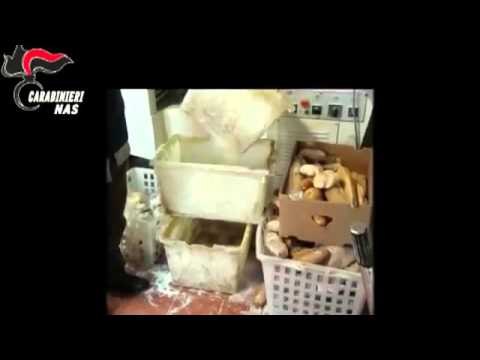 Topi, insetti e prodotti scaduti da anni: blitz dei Nas nei panifici. Controlli anche nel Salento