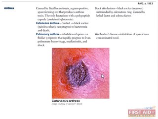 Microbiology Bacteriology Part 2