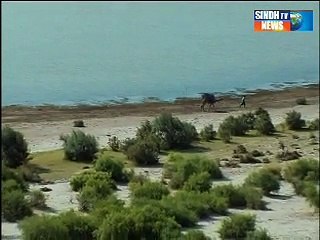 Sindhtv News Documentry UMAR SOMROO part 2