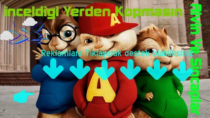 Alvin ve sincaplar inceldiği yerden kopmasın