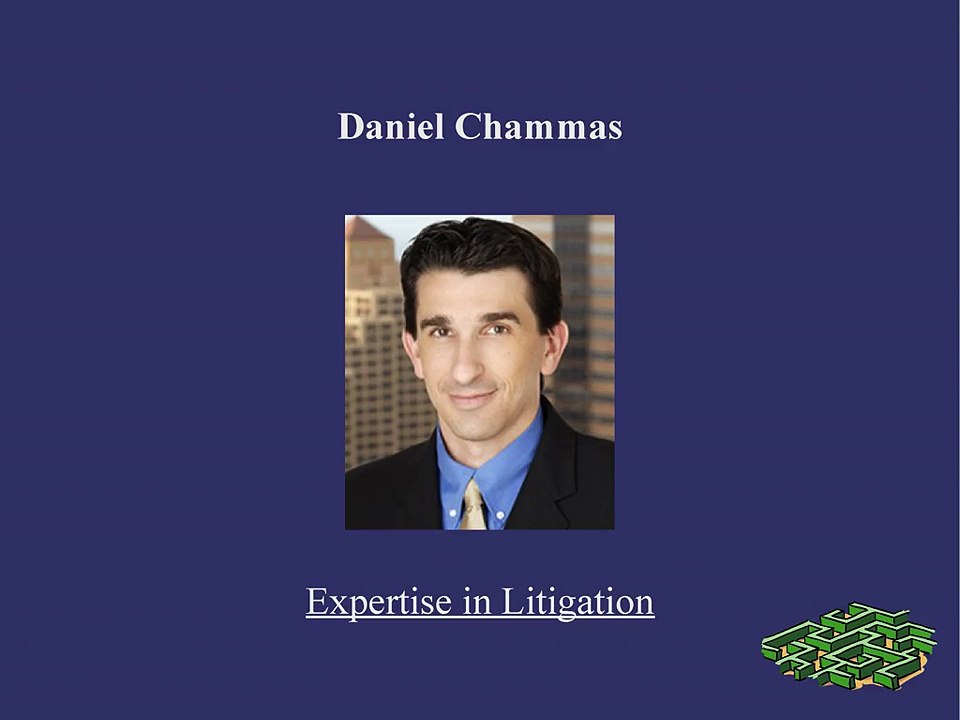 Daniel Chammas: Expertise in Litigation
