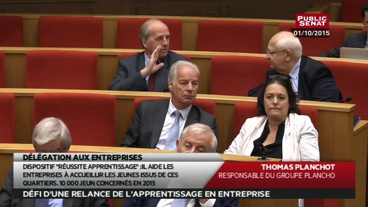 Table ronde sur l'apprentissage - Témoignages concrets - Les matins du senat