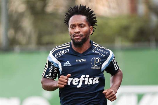Zé Roberto comenta renovação com Palmeiras: 'As duas partes querem'