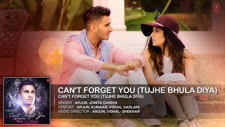 Arjun- Can't Forget You (Tujhe Bhula Diya) Full AUDIO Song ft. Jonita Gandhi - TodayPk
