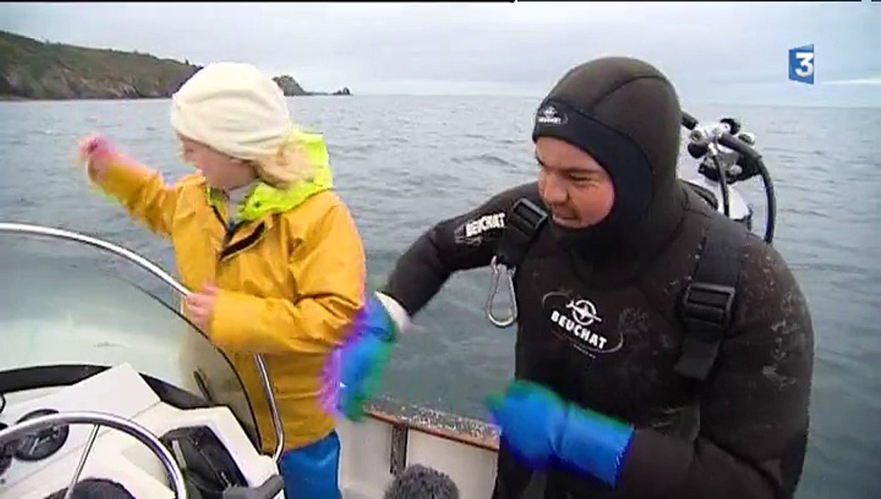 1er jour de pêche de la coquille Saint-Jacques en baie de Saint-Brieuc