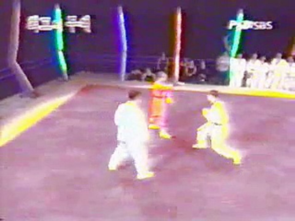 shaolin vs taekwondo