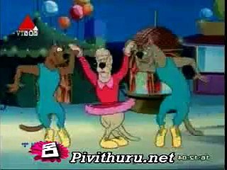 scubi   - c 06.10.2015