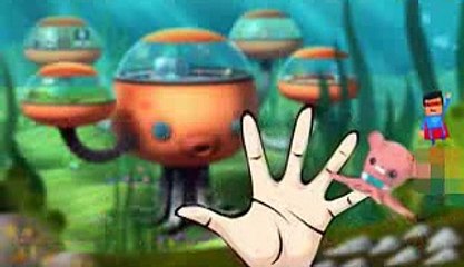 Nursery Rhymes Collection Masha And The Bear Cartoon Finger Family Rhymes Frozen Songs Finger Family_clip2