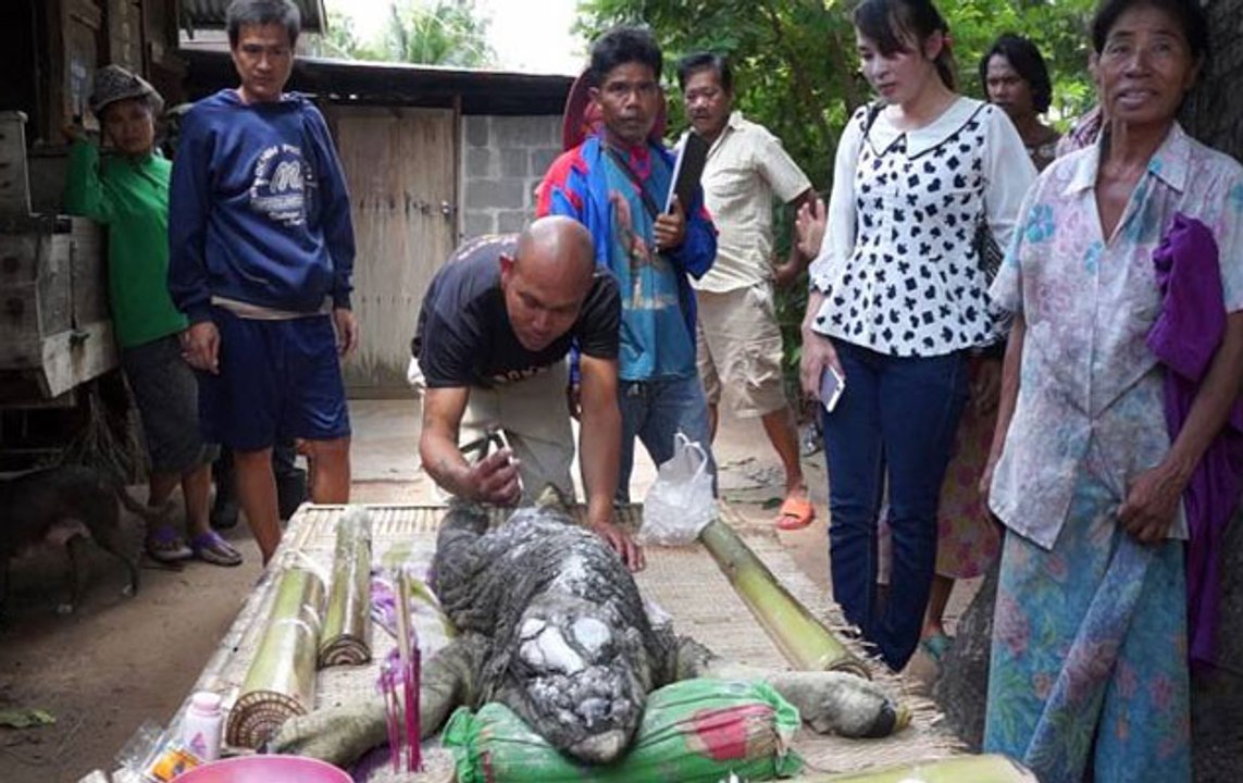 Weird animal with body of buffalo and head of c...