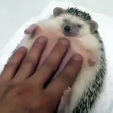 вот оно счастье