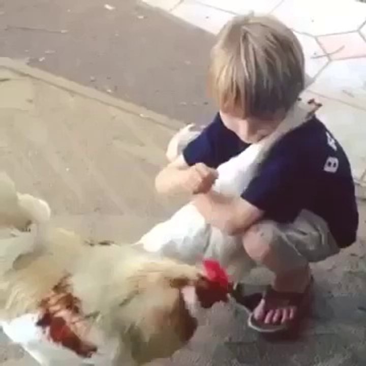 A kid With a Hen hugged. the best kid video you will ever see. great funny amazing  cool 2015 2016