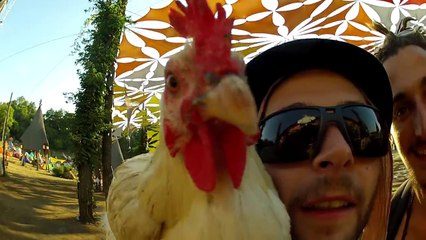 Poule Hop into the Wild - Teaser