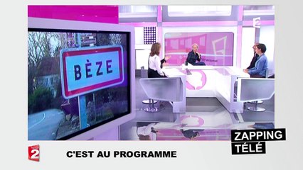 Sophie Davant et l'équipe de C'est au programme hilares à cause d'une ville au nom coquin