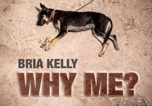 Powerful Anti-Animal Abuse Video Depicts Humans as Dogs