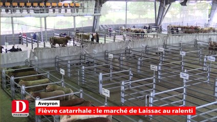 Fièvre catarrhale : le marché de Laissac au ralenti