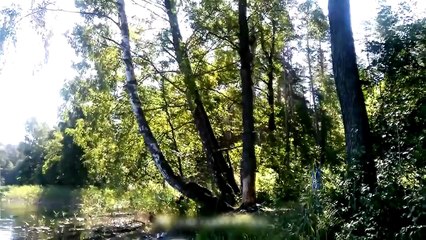 Funny videos Fails_Wins compilation August 2015 #14 - Wet Pants TV