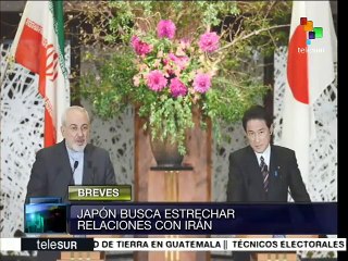 Ministro japonés viajará a Irán para impulsar cooperación económica