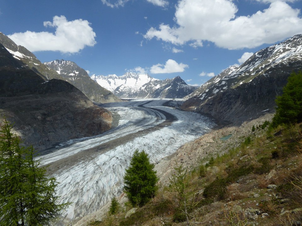 Aletschgletscher: Riederalp - Hängebrücke (Wallis / Schweiz)