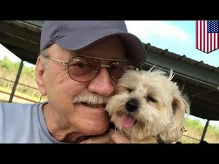 한 노인, 꿈에 그리던 차에 애완견과 함께 갇힌 뒤, 사망