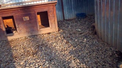 6.10.2015 VILLE SHELTER