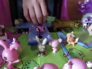 LPS Got Talent P3 - Cookies&Milk