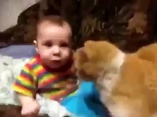 Заботливый кот