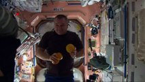 ISS Expedition 39/40 crew members perform circus acts