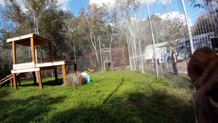 VERY FUNNY Outtakes And Bloopers!!