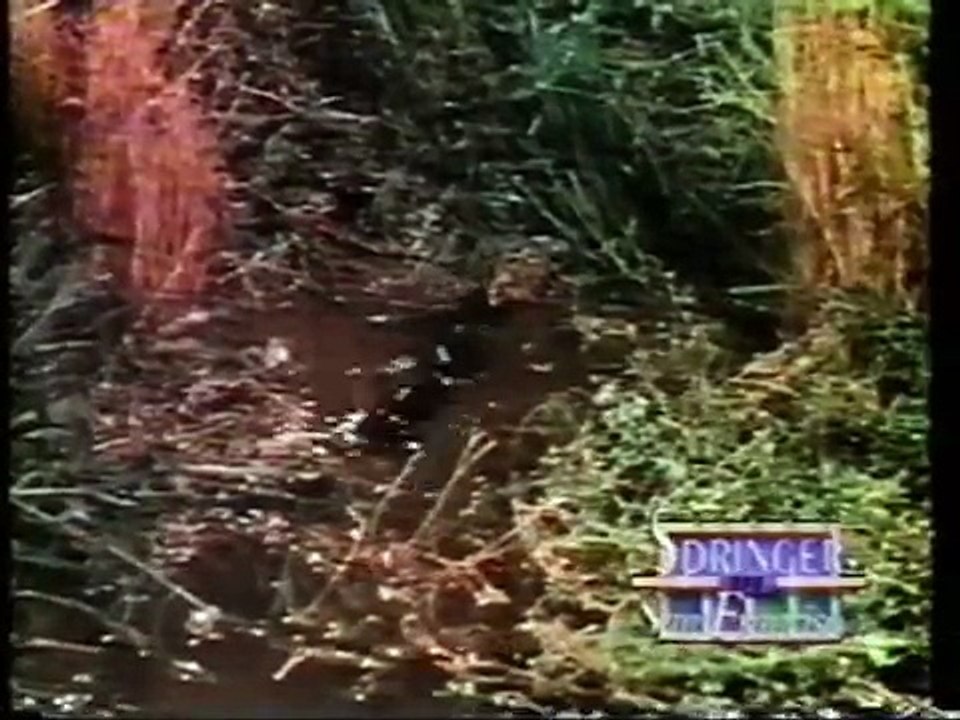 From 1993: Jerry Springer with the Beverly Hillbillies Cast, pt. 1 of 2!!