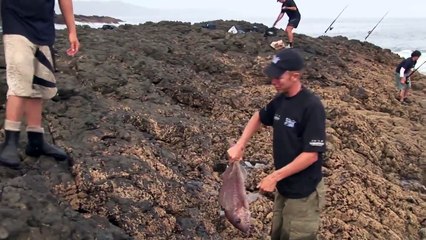 Land based fishing in New Zealand ULTIMATE FISHING