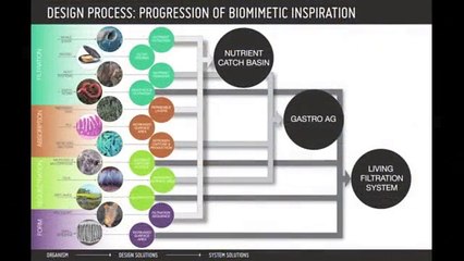 Earthworm-Inspired Soil Solution Captures First Place in Nature-Inspired Global Challenge | Ray C. Anderson Foundation