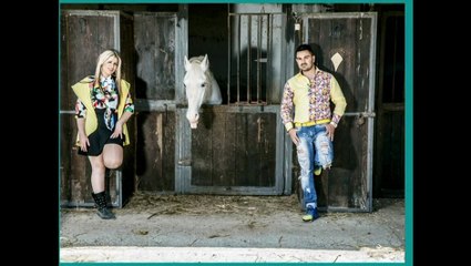 Il brutto anatroccolo