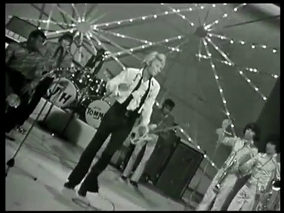 JOHNNY HALLYDAY aussi dur que du bois