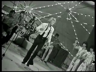 JOHNNY HALLYDAY aussi dur que du bois