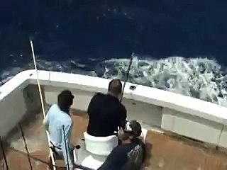 OMG!! Black Marlin eaten by shark