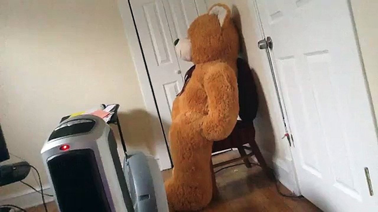 My Teddy Bear
