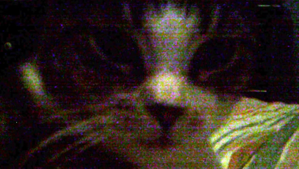 this is my cat beca